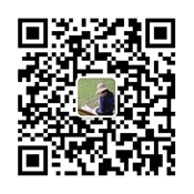 淮北生活通 www.0561live.com 永城生活通 www.0370live.com微信客服